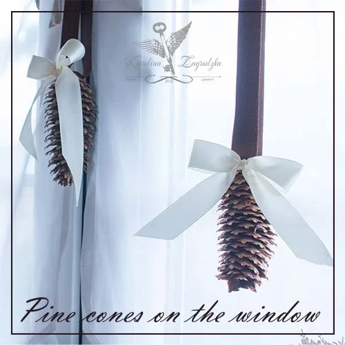 Szyszki Na Oknie // Pine Cones on The Window