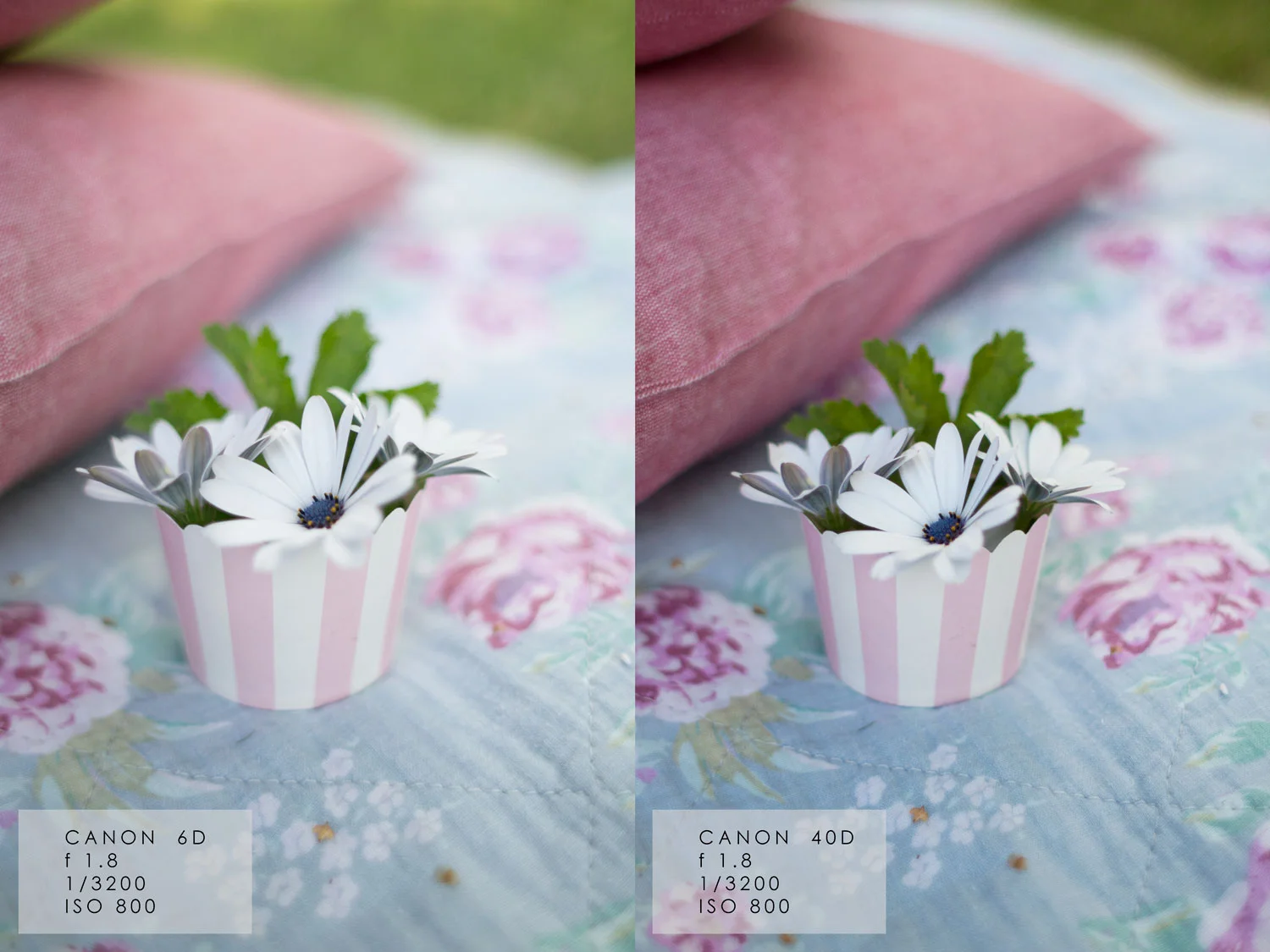 tutaj jest tak samo.