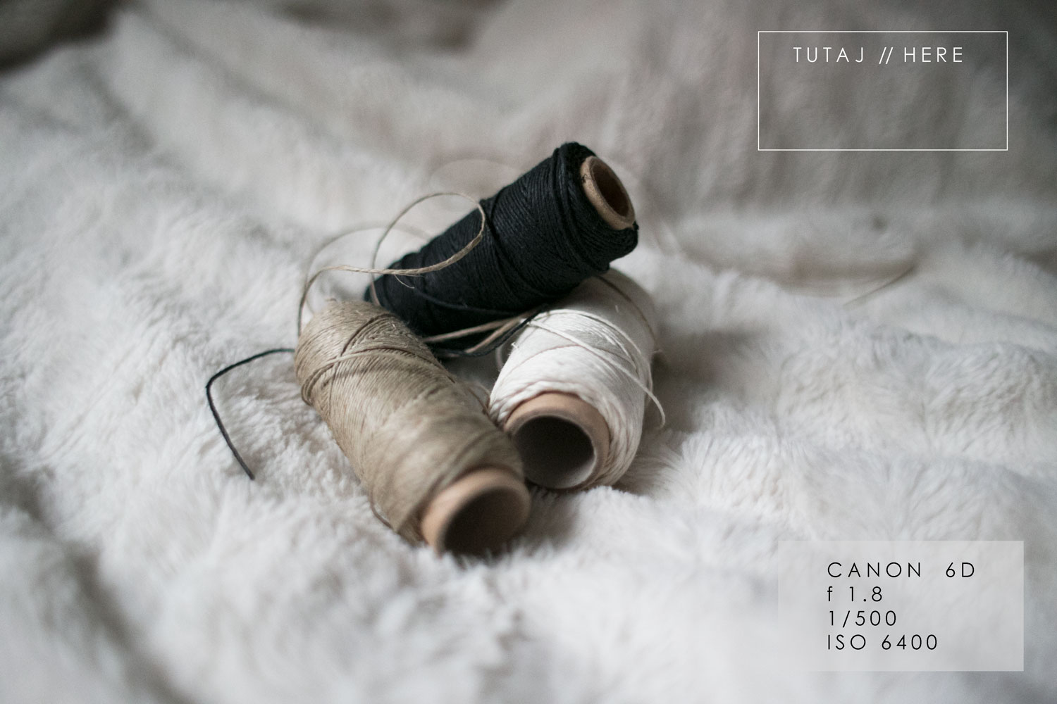 tutaj dla porównania ustawiłam f1,8 i jeszcze wyższe ISO 6400 na canonie 6D i nawet przy takich ustawieniach kasza jest tylko w miejscach zaciemnionych... canon 40D nie ma już takiej możliwości.