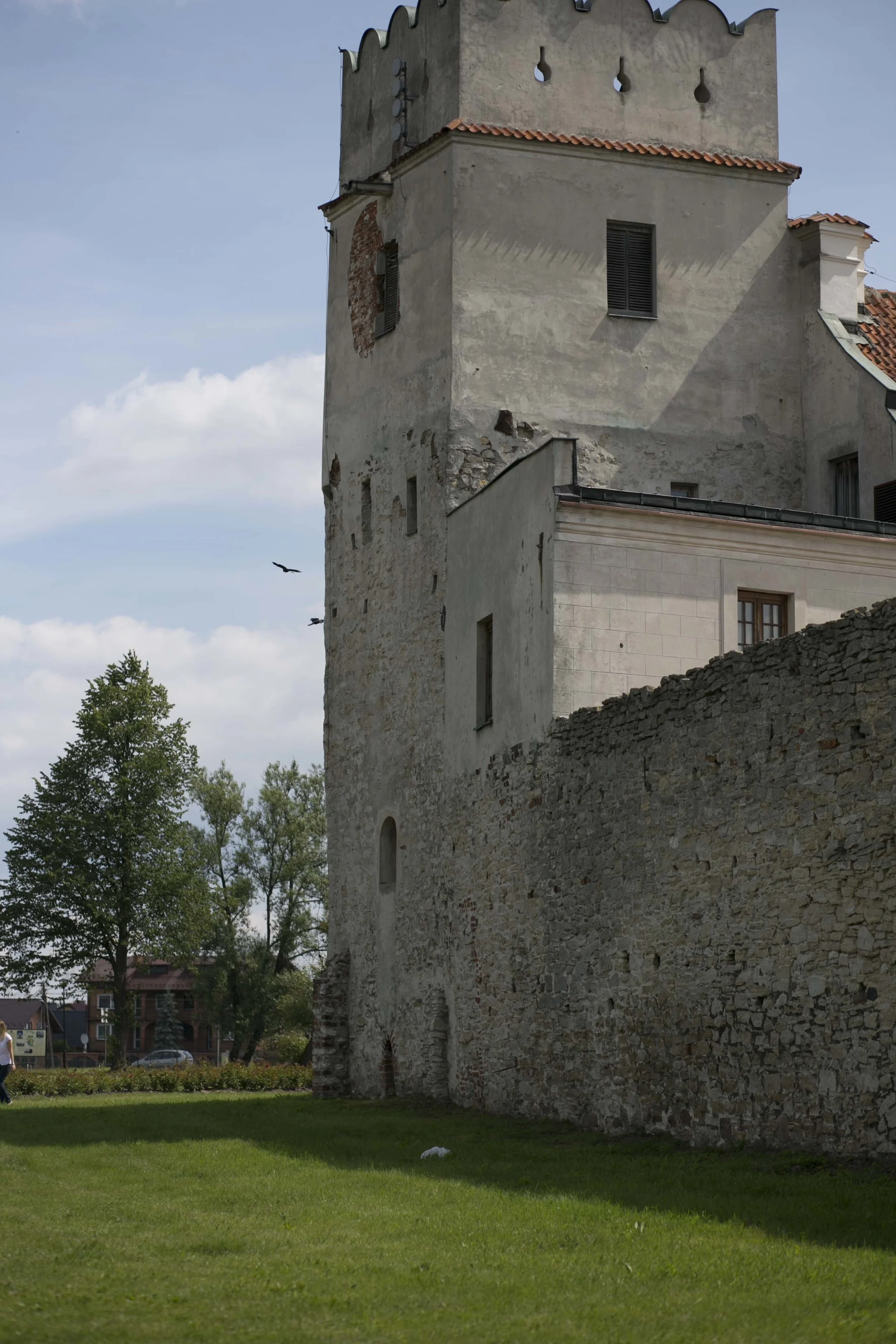 _MG_9653.jpg