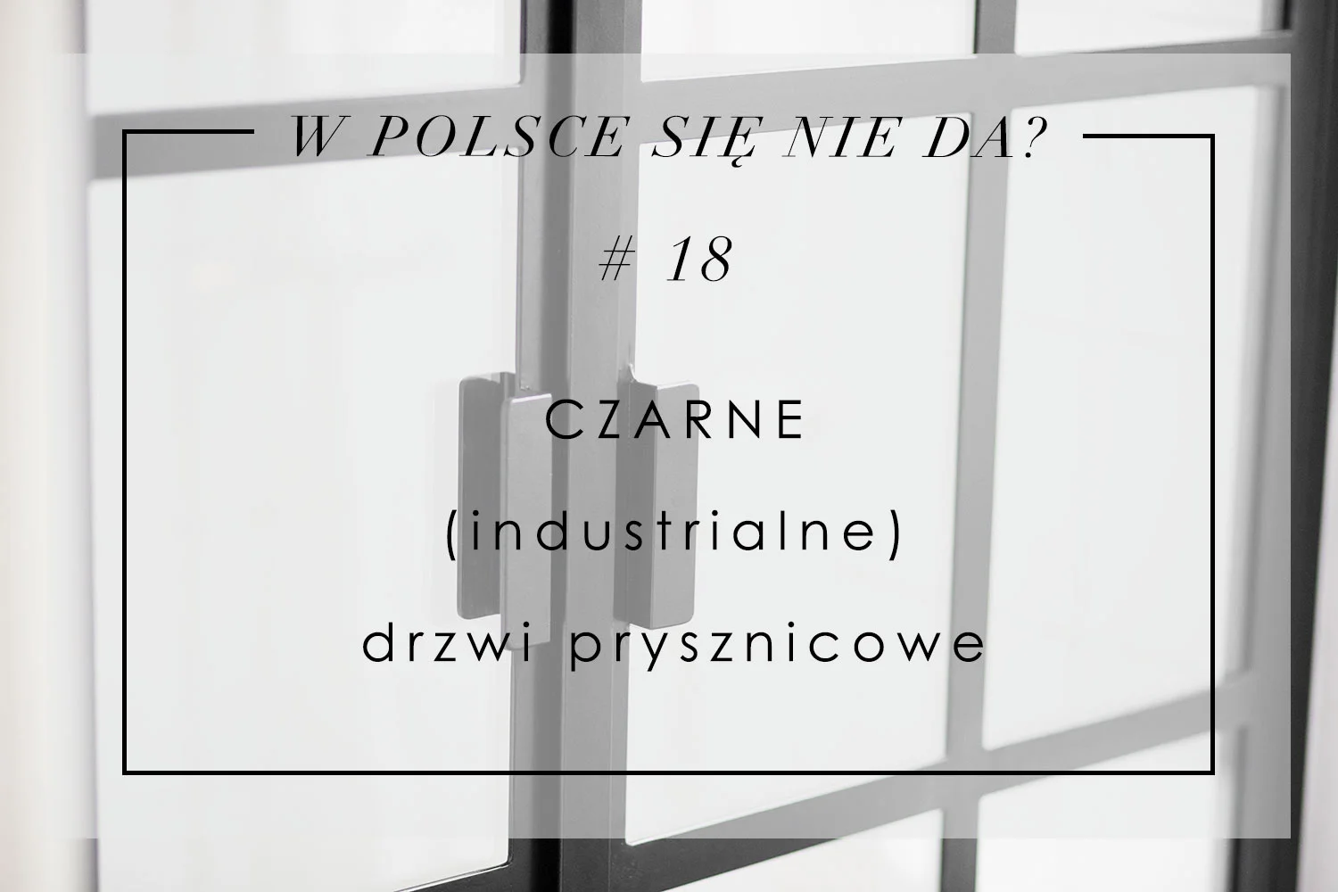 czarne-industrialne-drzwi-prysznicowe.jpg