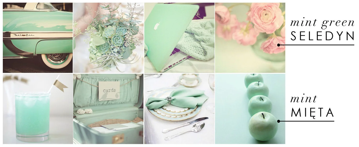 Seledyn dla Conchita Home