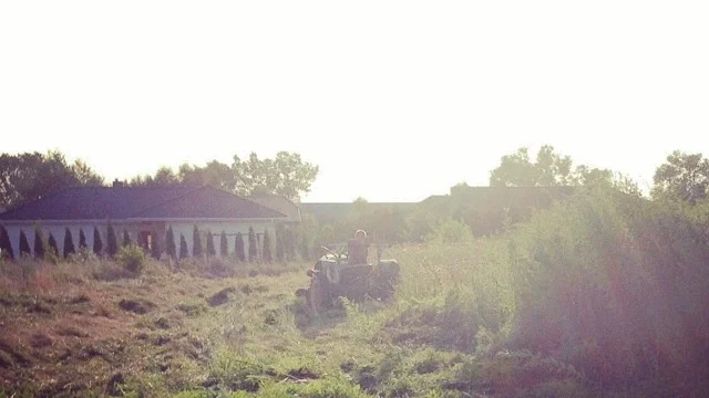 Wyprowadzka // The Move