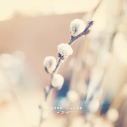  • Instagram • #1