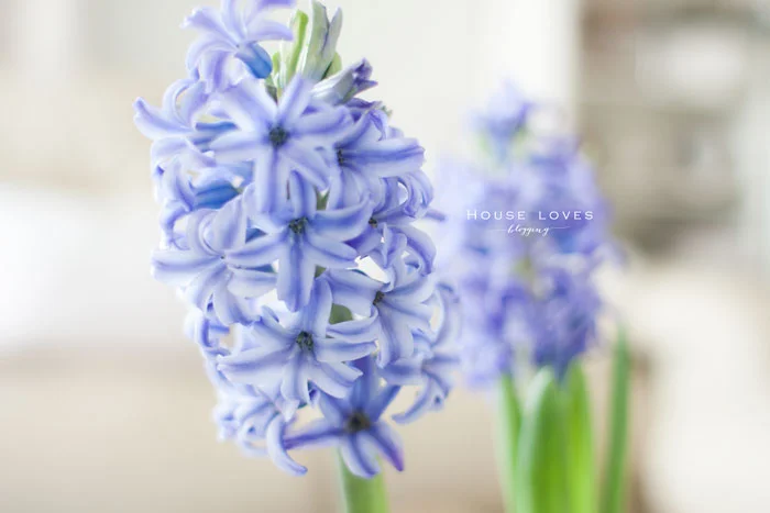 (Nie)Idealna // (Not) Ideal