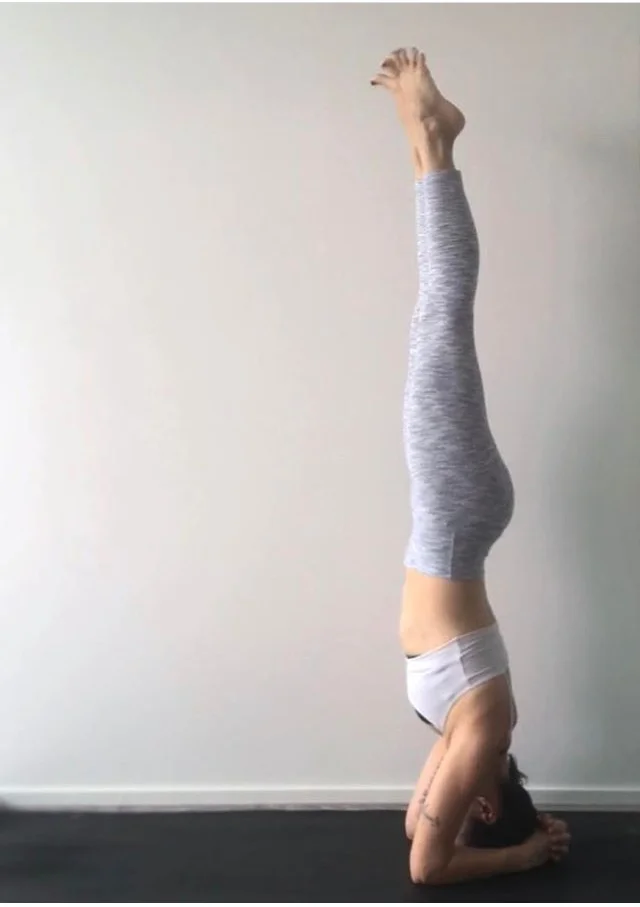 ARCHIVE // FOUNDATIONS of INVERSIONS with HAILEY