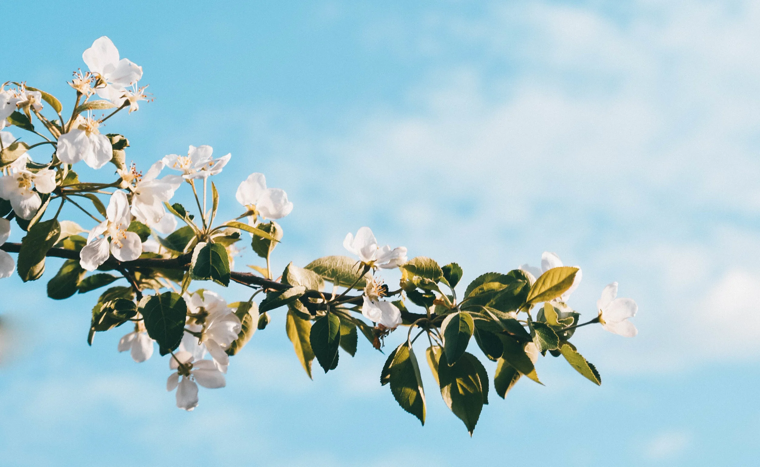 ARCHIVE // YIN YANG FLOW FOR RENEWAL