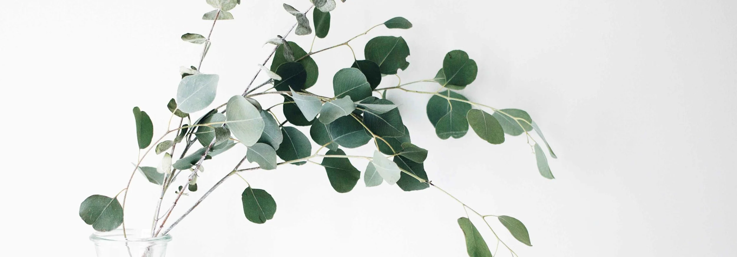 ARCHIVE // 'Nourish You' Workshops