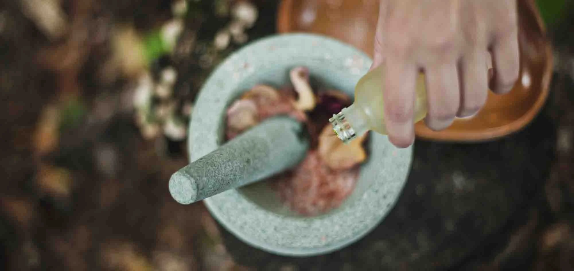 ARCHIVE // 🌱 Intro to Ayurveda 🌱