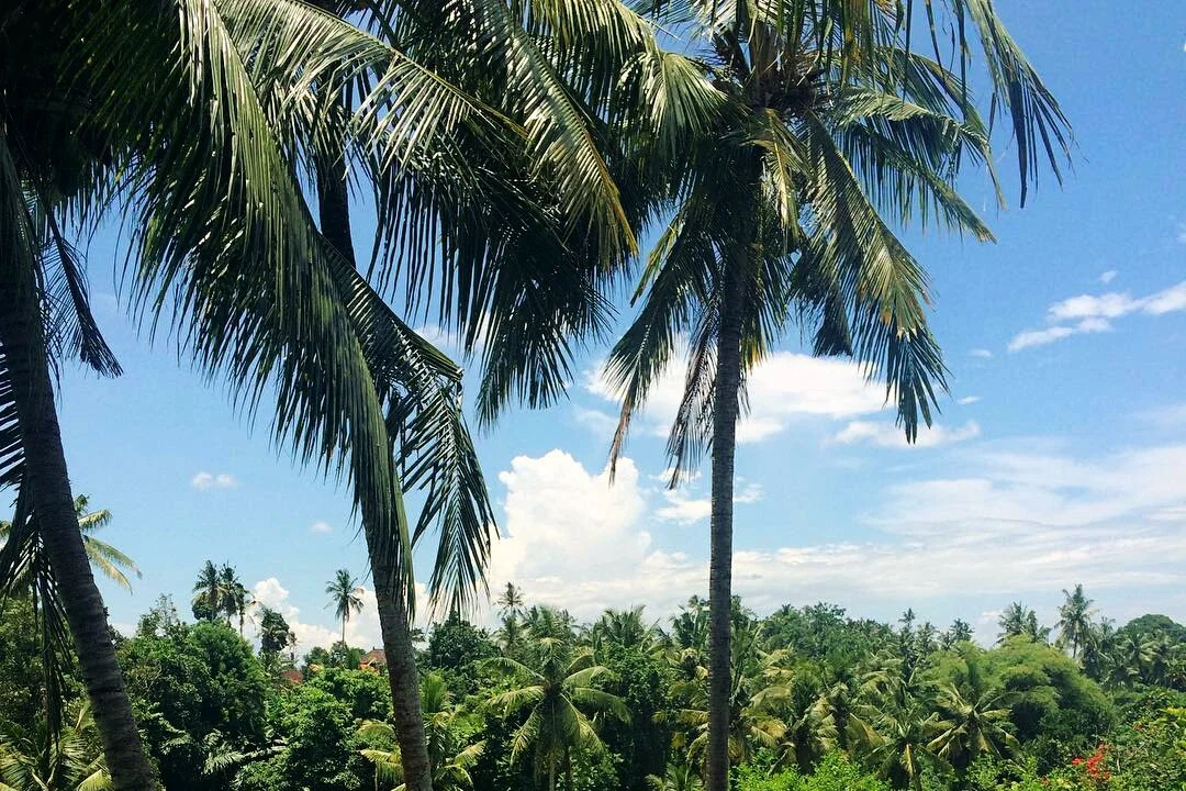 🌴 YOGA RETREATS 2021 + BEYOND...🌴