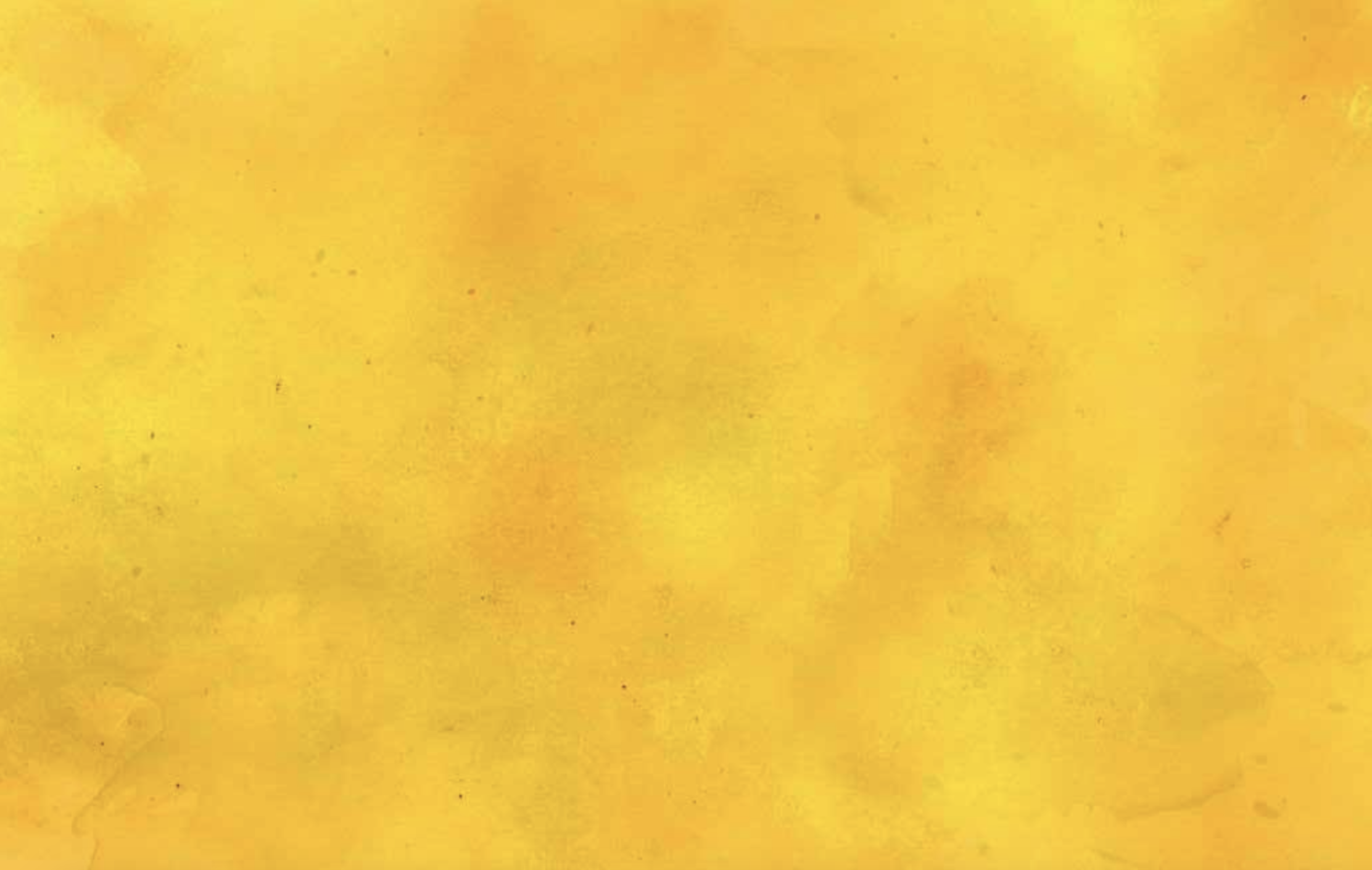 YC Banner.png