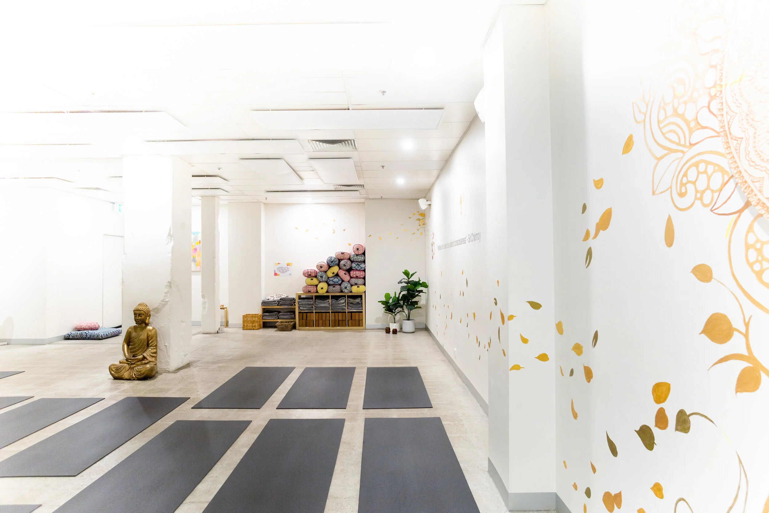 🎉 STUDIO REOPENING NOV 9: STUDIO UPDATE + DETAILS