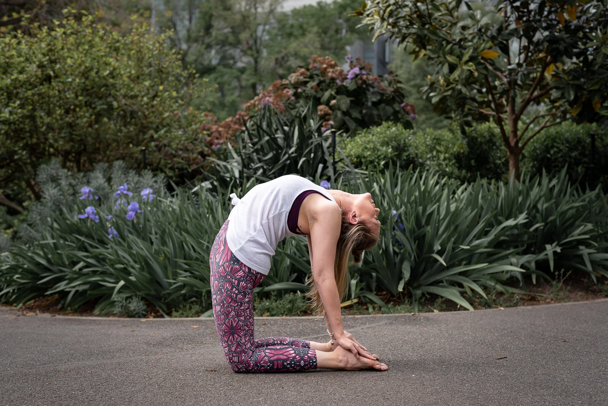 🌳Yoga in the Park ☀️