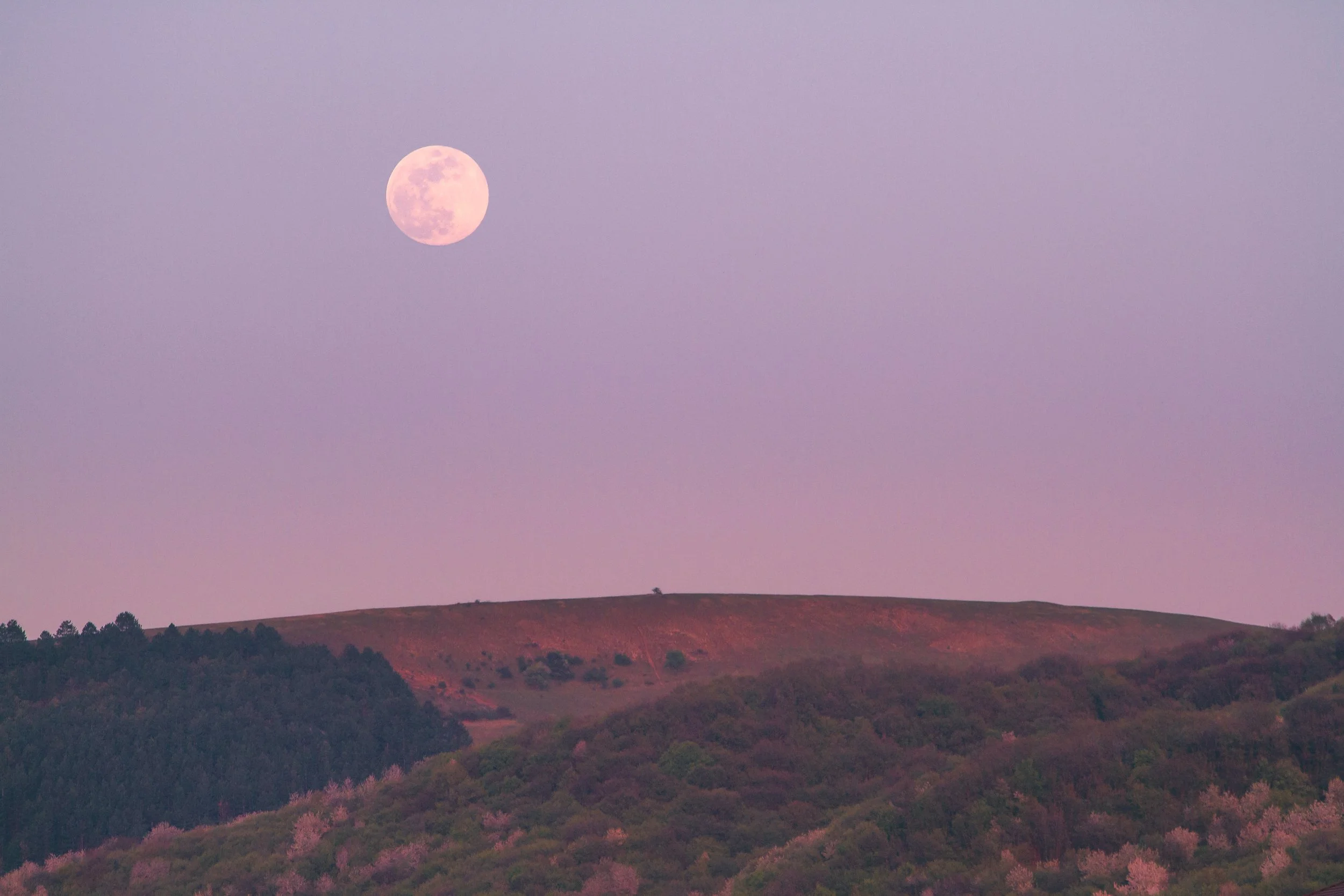 Full Moon Sound Healing Yoga Corner Melbourne.jpg