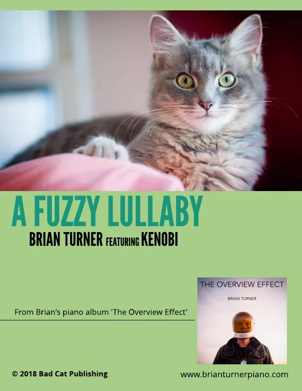 A Fuzzy Lullaby.jpeg