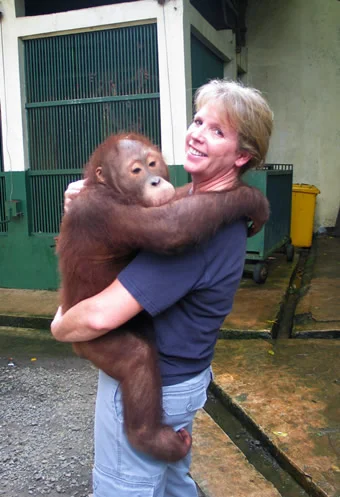 Orangutan Rescue Center in Jakarta Zoo