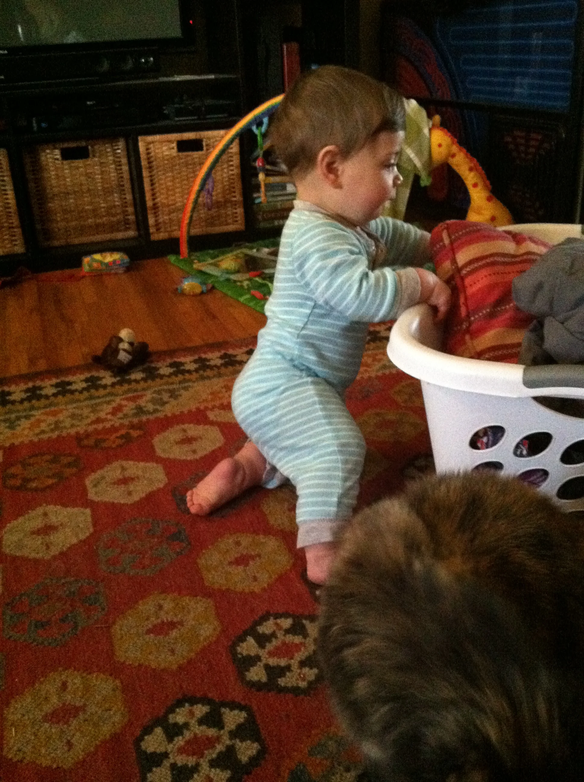 The Laundry Basket is there. I'm here. The folks aren't here to tell me "no", so I say 'YES!" 