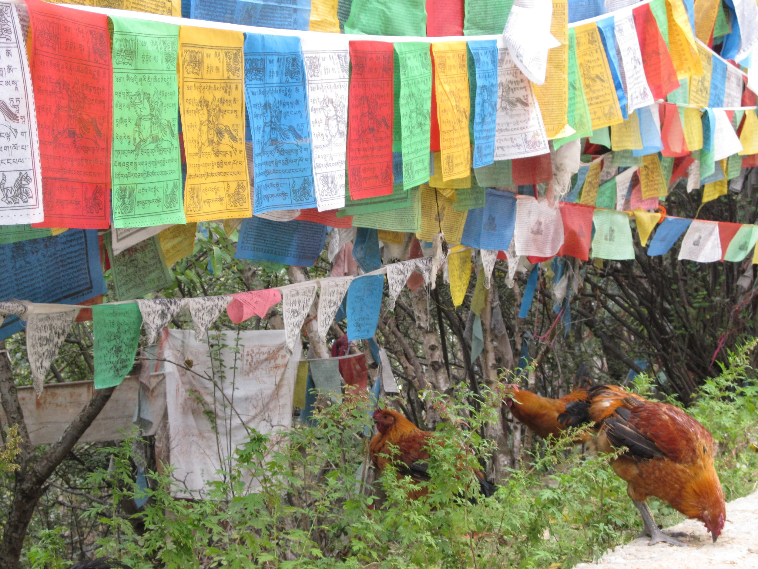 Prayer flags in Kathmandu, 