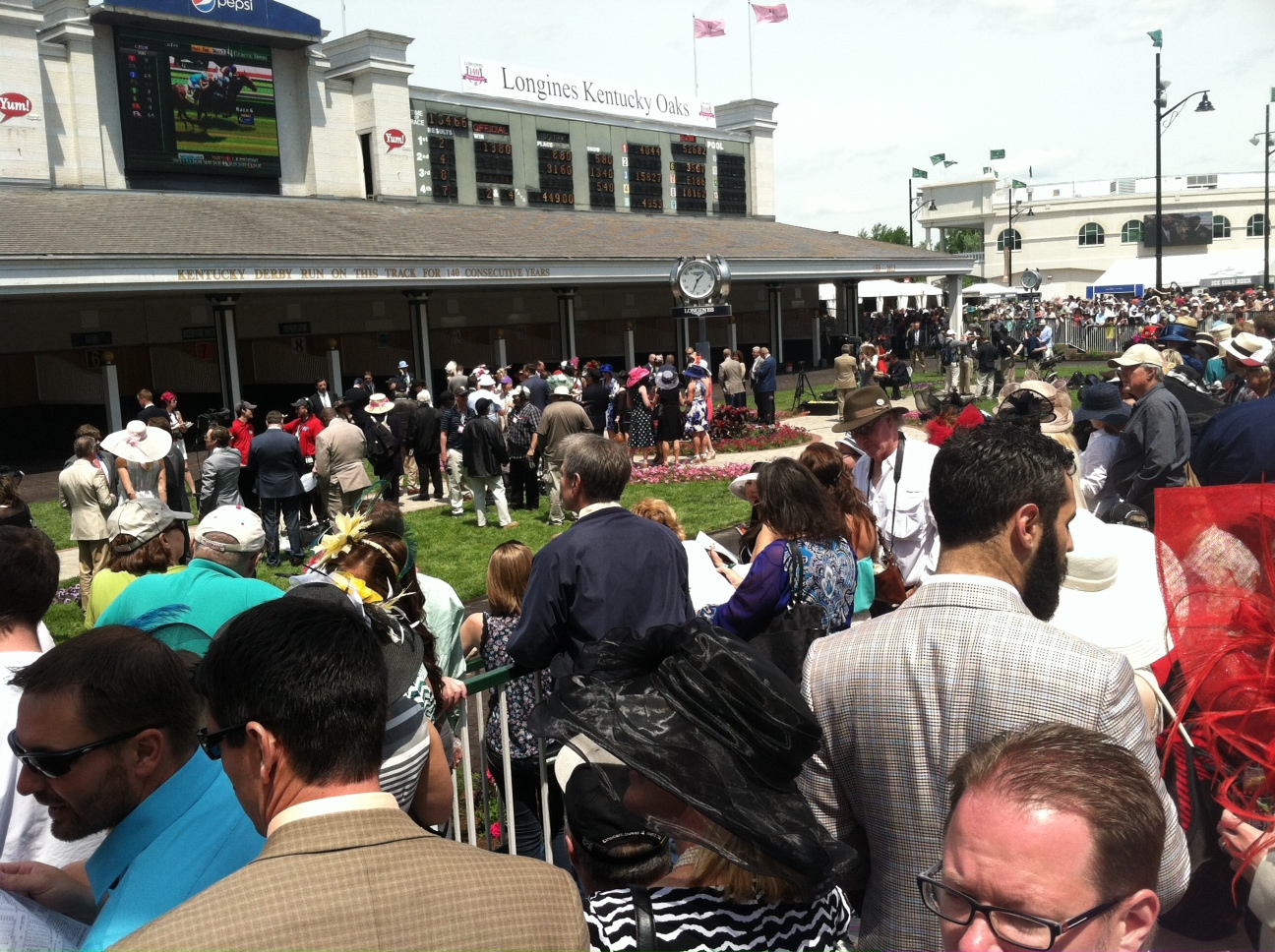 Before races, attendees gather at the stables to check out the horses. 