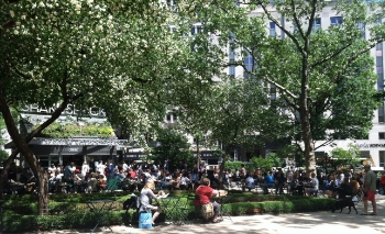 Braved the long and winding line at The Original Shake Shack. Which shake should we try? 