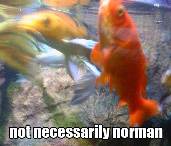 Fish Dance!