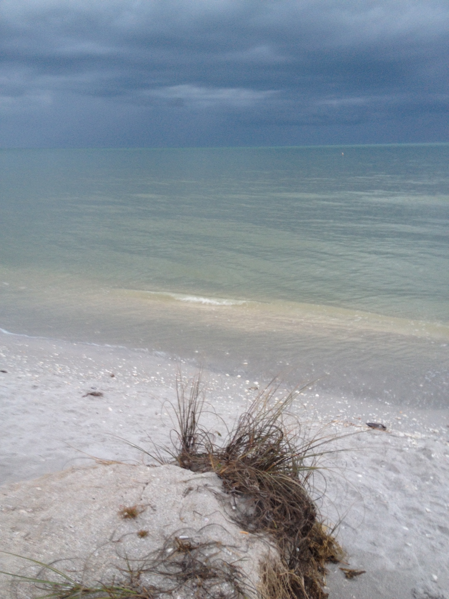 Sanibel sand and surf! My view as I sit typing. No, I am not on the beach...really.
