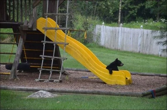 slide.jpg