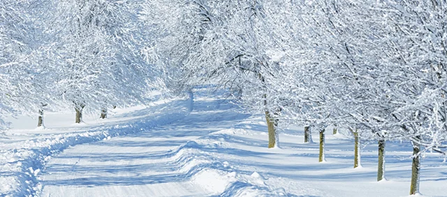 snow_day.jpg