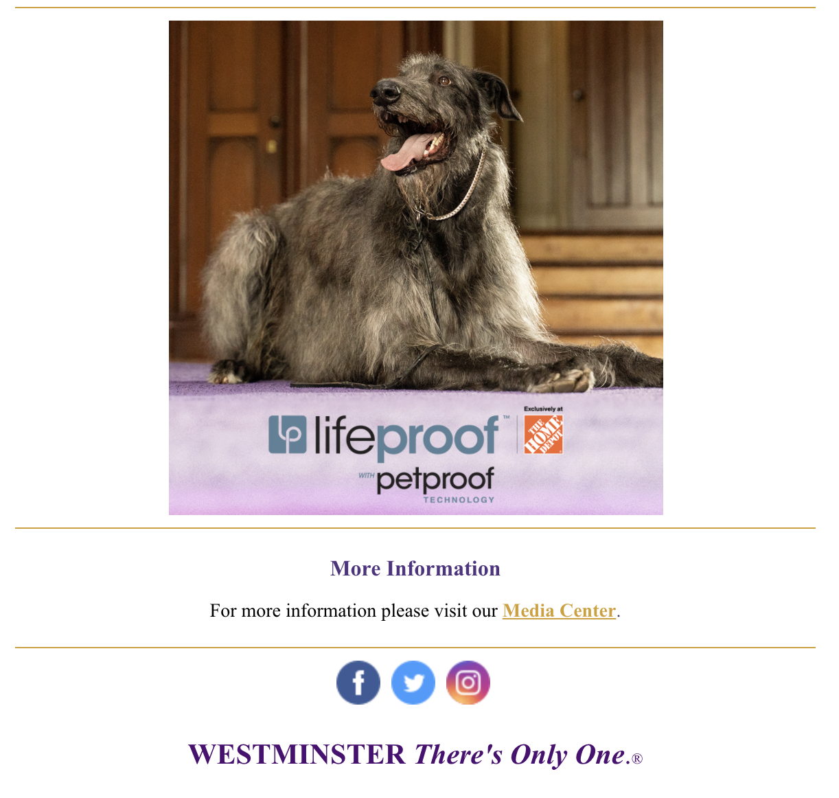 Screen Shot 2021-06-16 at 2.05.37 PM.png