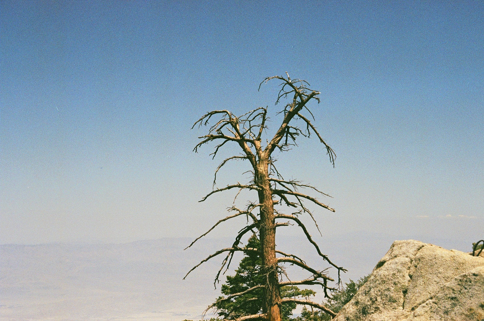 24020027.JPG