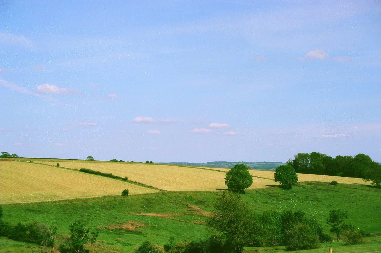 69810025.JPG