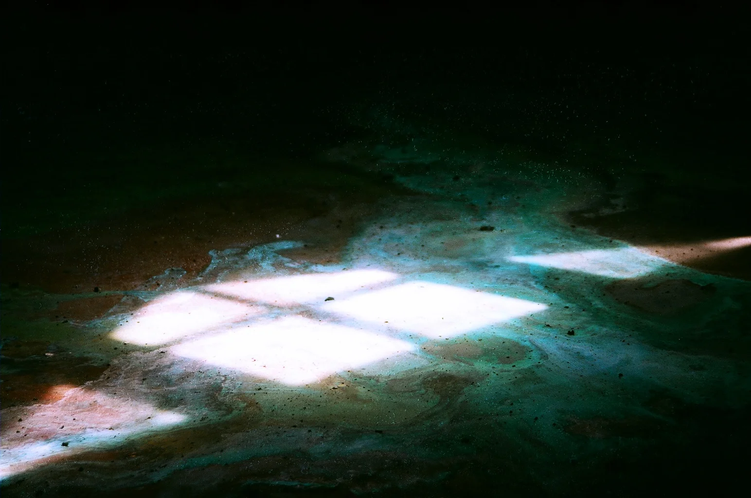 69810029.JPG