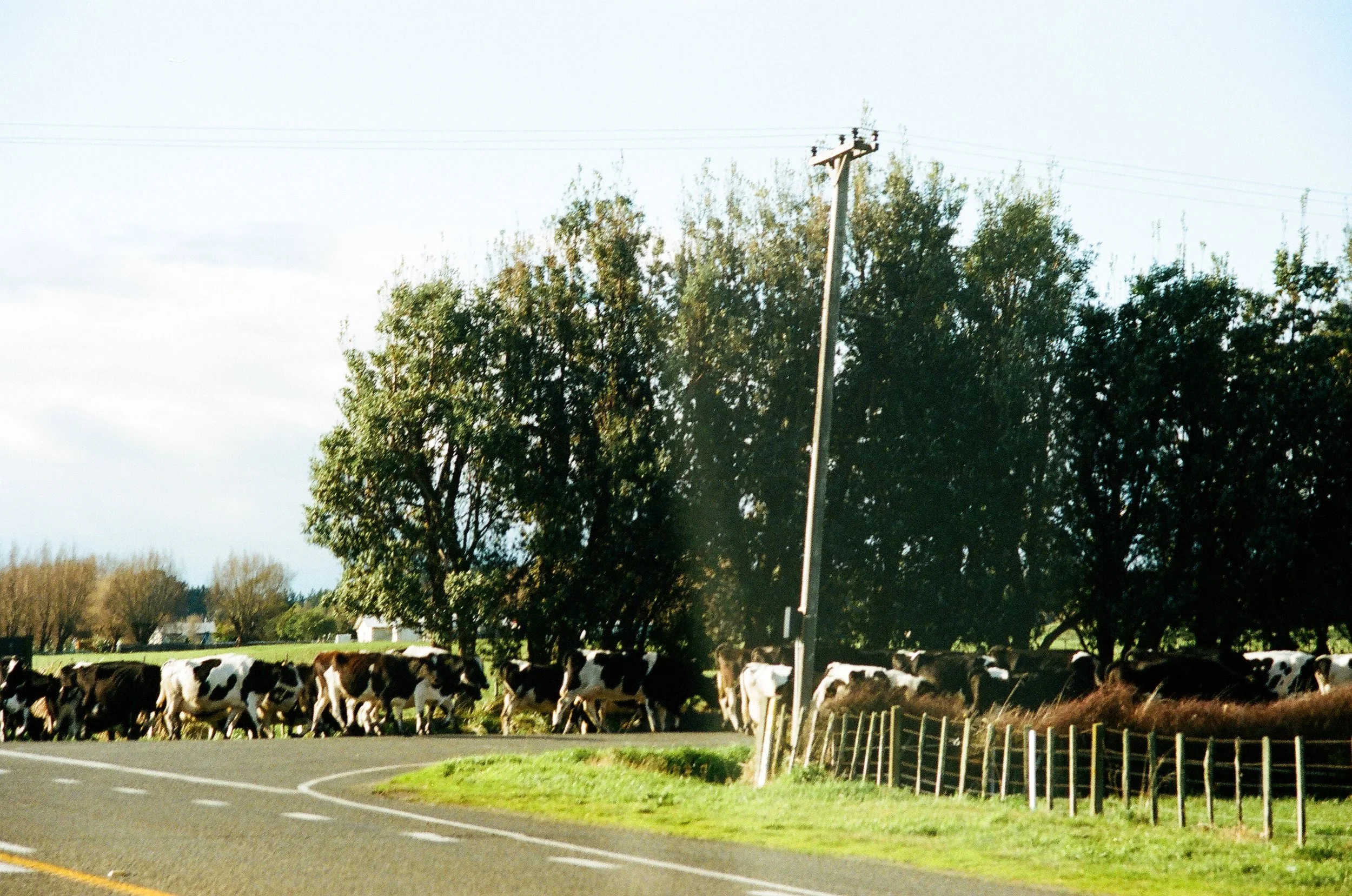 95670005.JPG