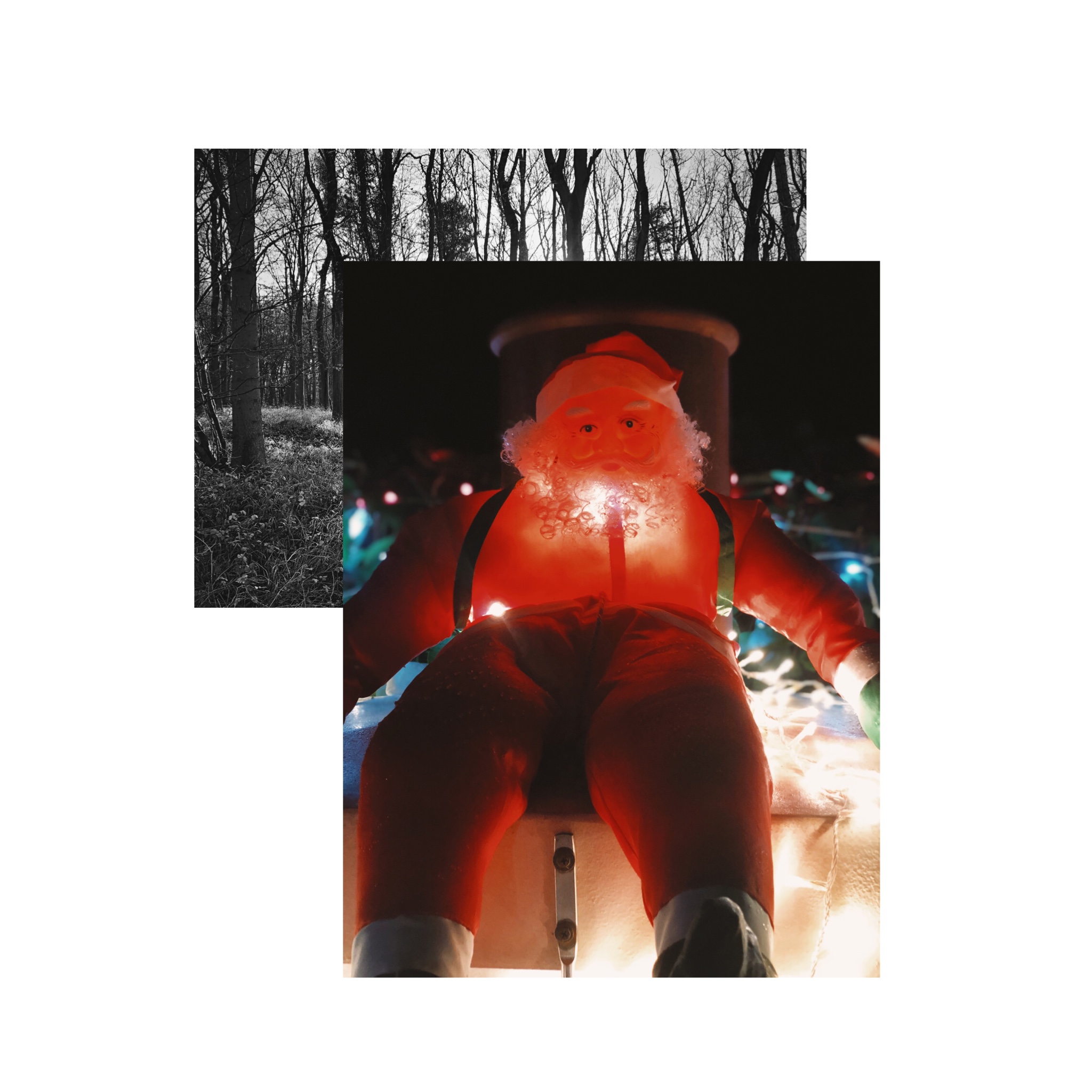fullsizeoutput_1cf7.jpeg