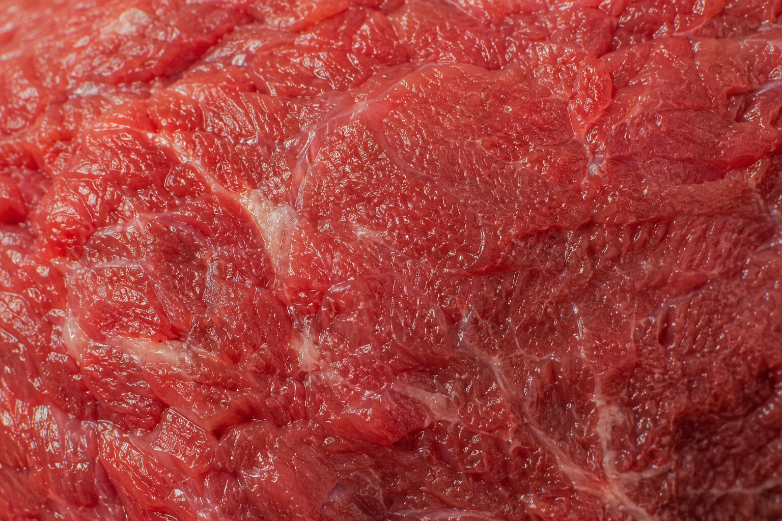 meaty gro.png