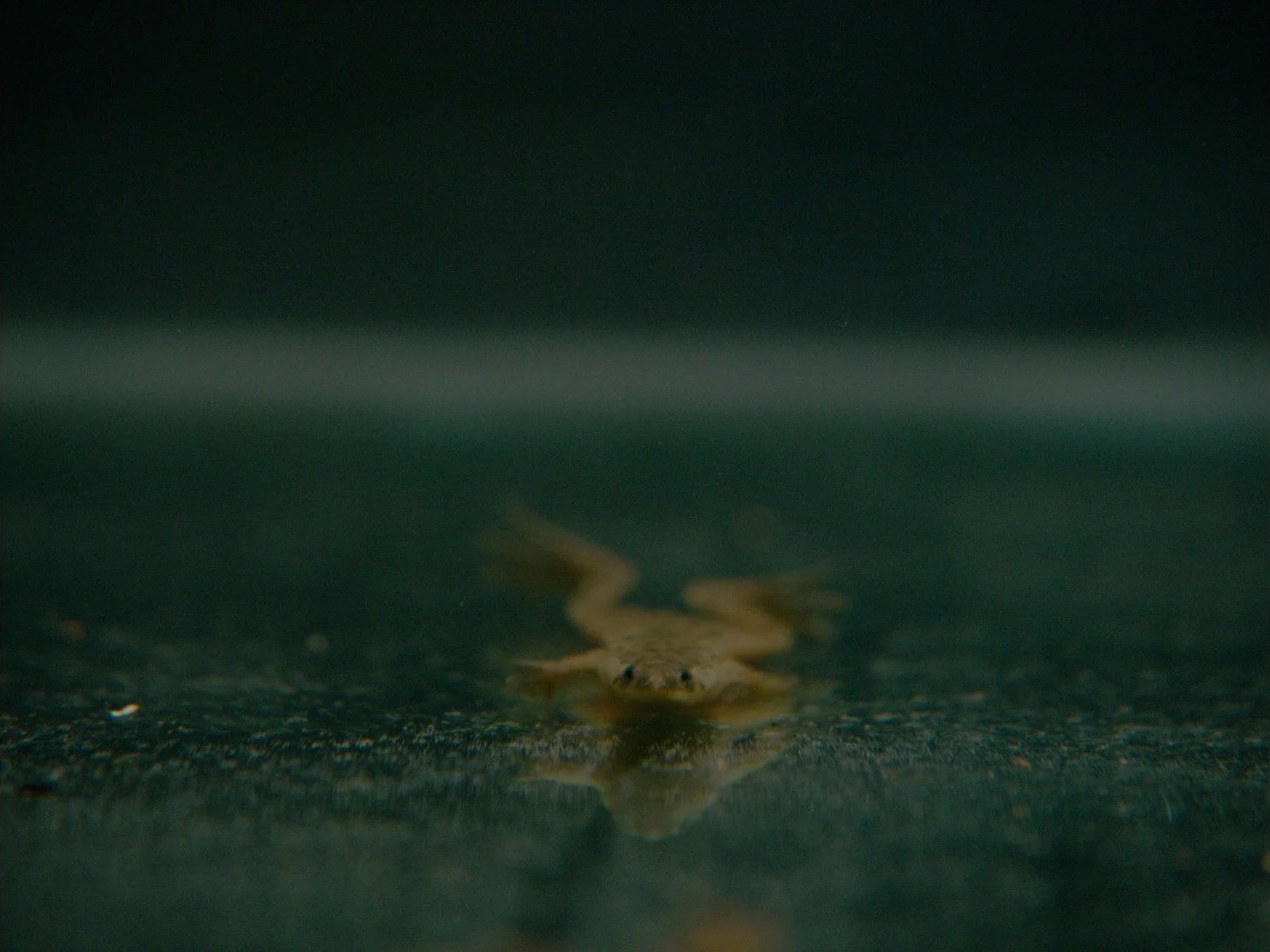 WhatsApp Image 2025-10-17 at 10.53.46.jpg