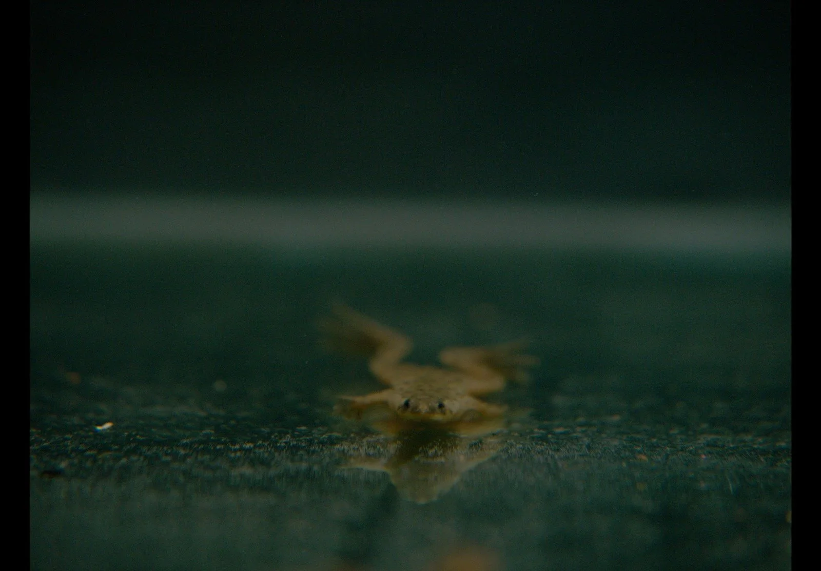 WhatsApp Image 2025-10-17 at 10.53.46.jpeg