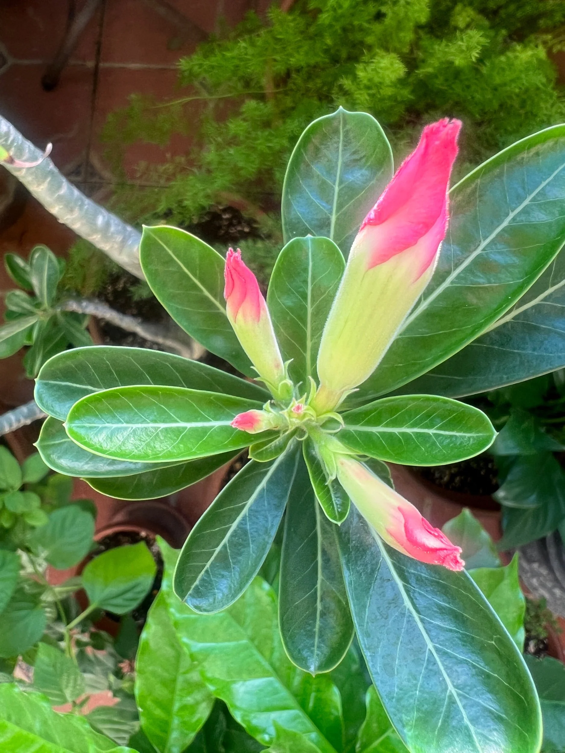 My stay at Paul’s misterb&b was the perfect getaway.