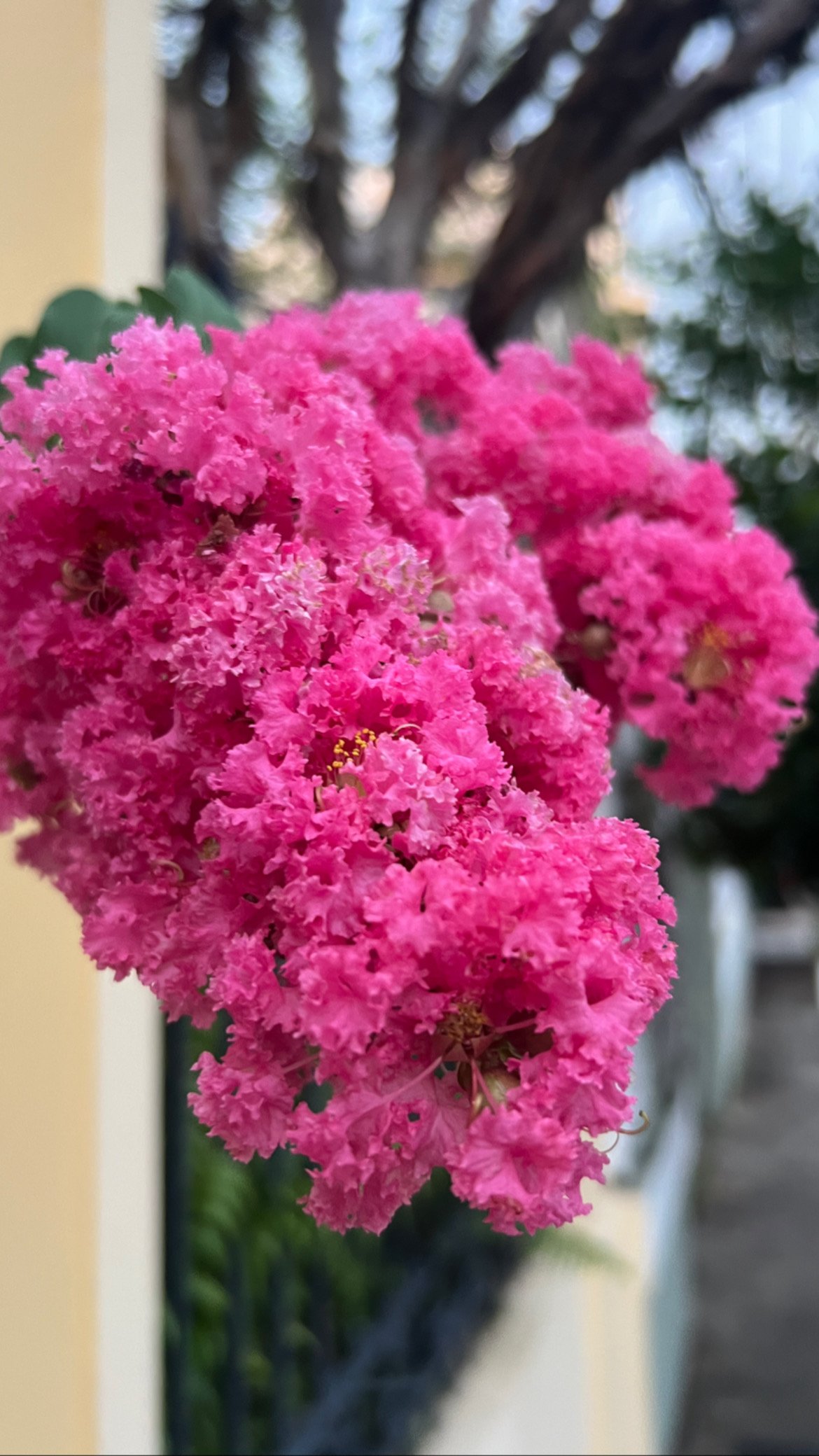 5-star service: anticipation