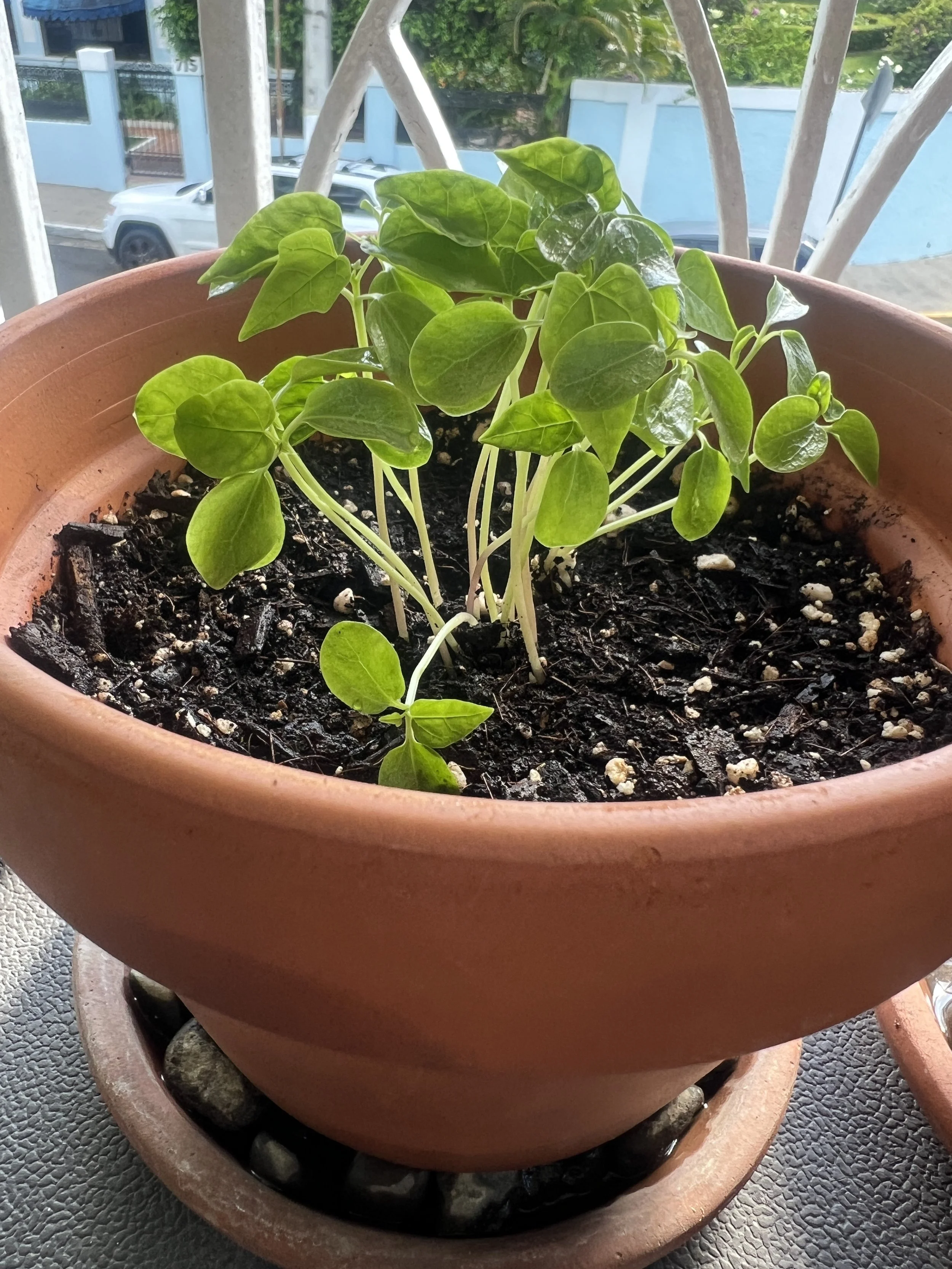 A beautiful space and cultivated an impeccable energy