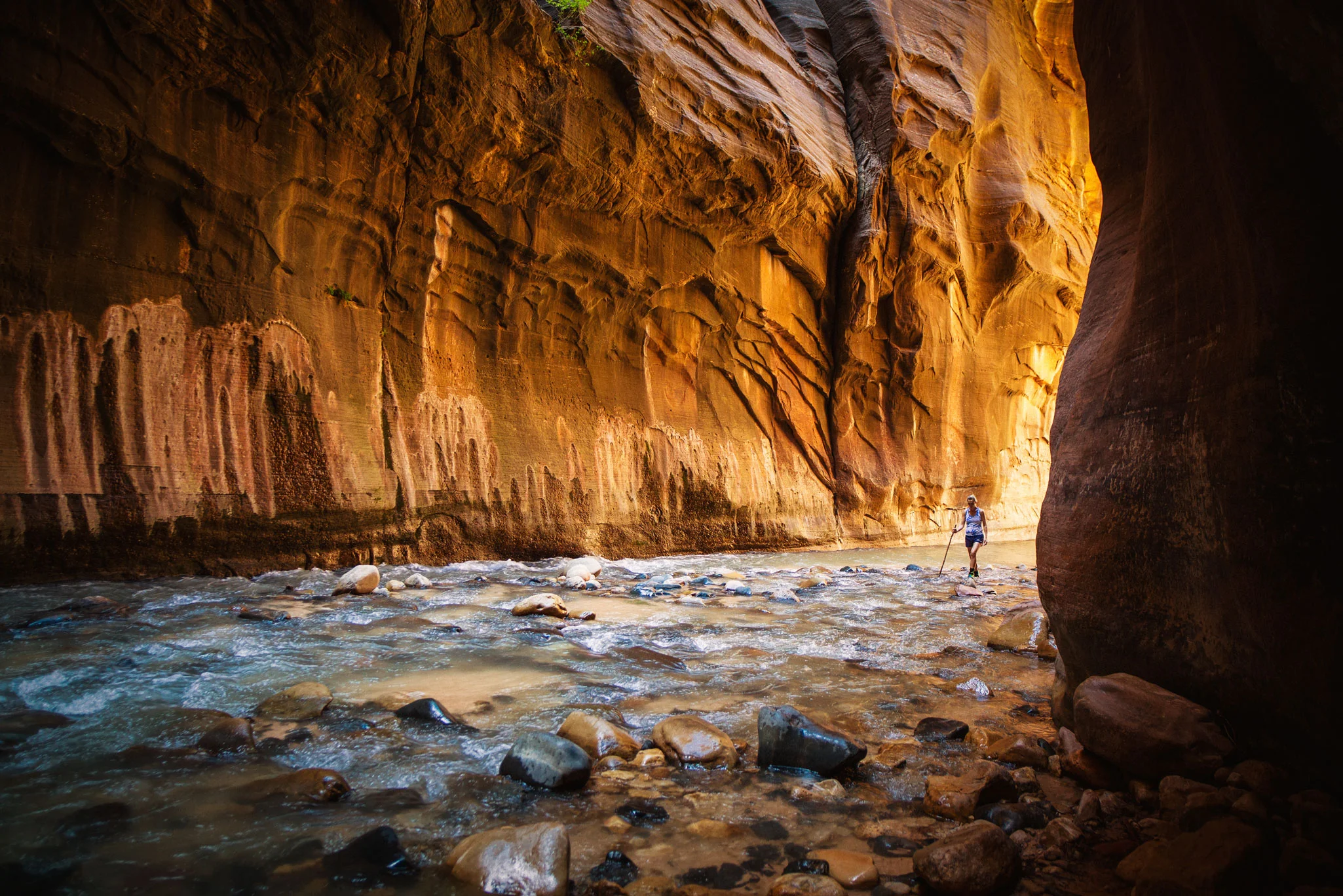 ZION NATIONAL PARK / THE NARROWS