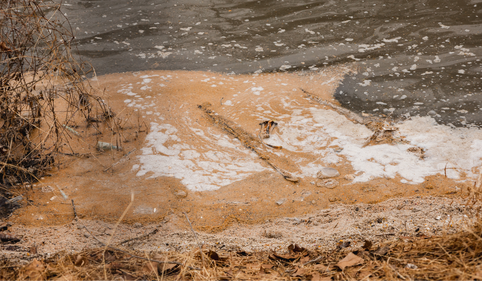 Speak up: Tell DC Water to clean up its sewage mess with stronger restoration plans