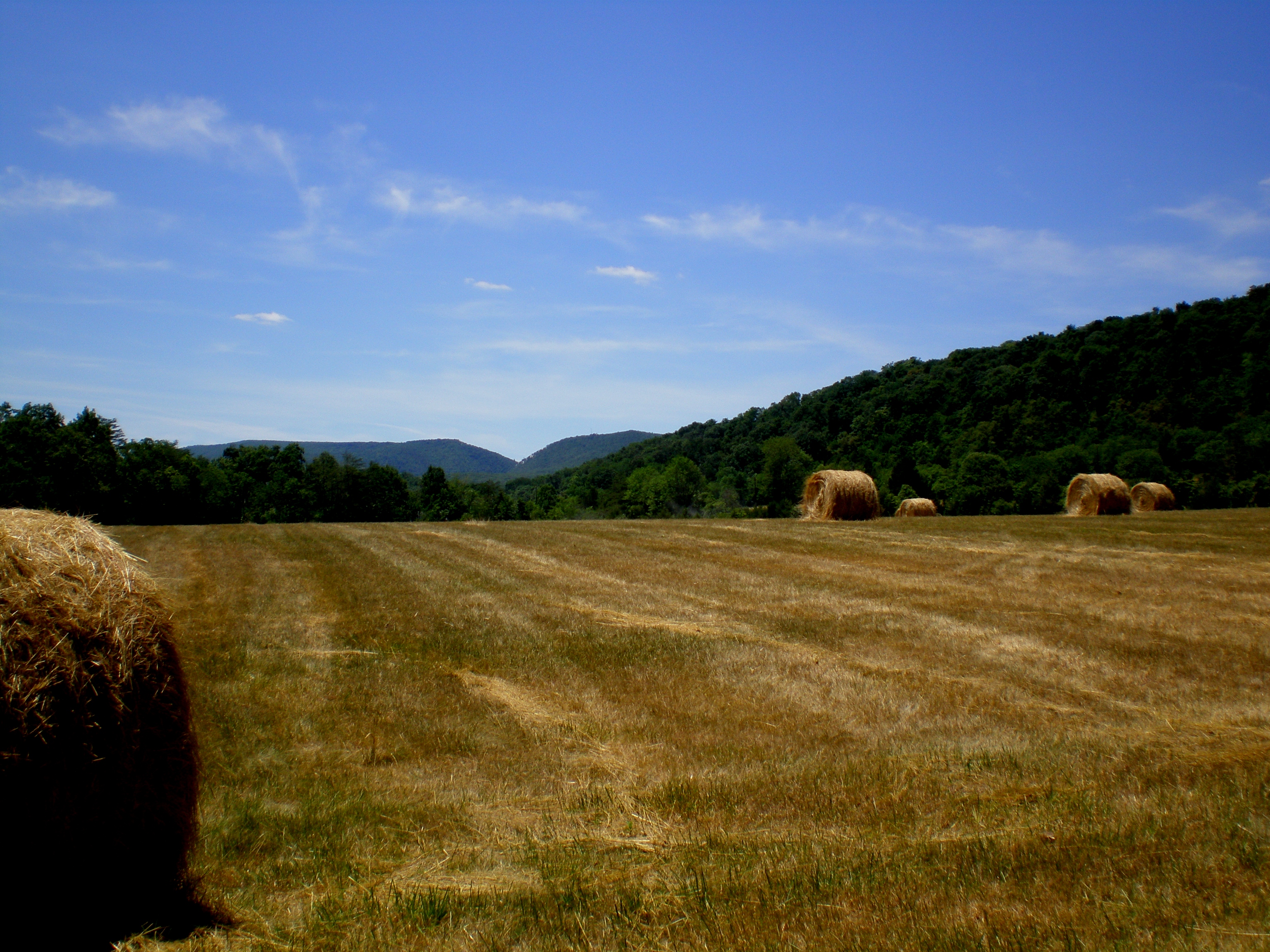 Potomac Conservancy Expands Non-Operator Landowner Program to VA and WV