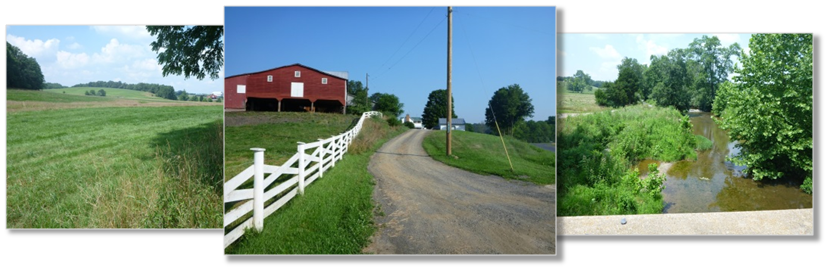 Sunny Acres.png