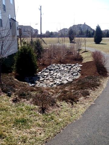 The final result of Potomac Conservancy's and HLI's stormwater management site repair.