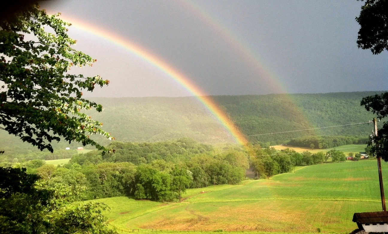 Island Ford Farm; a Legacy of Protection