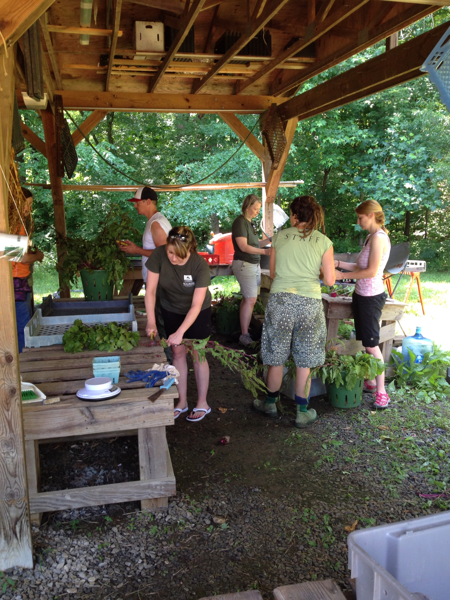 Preparing produce for the first market.jpg