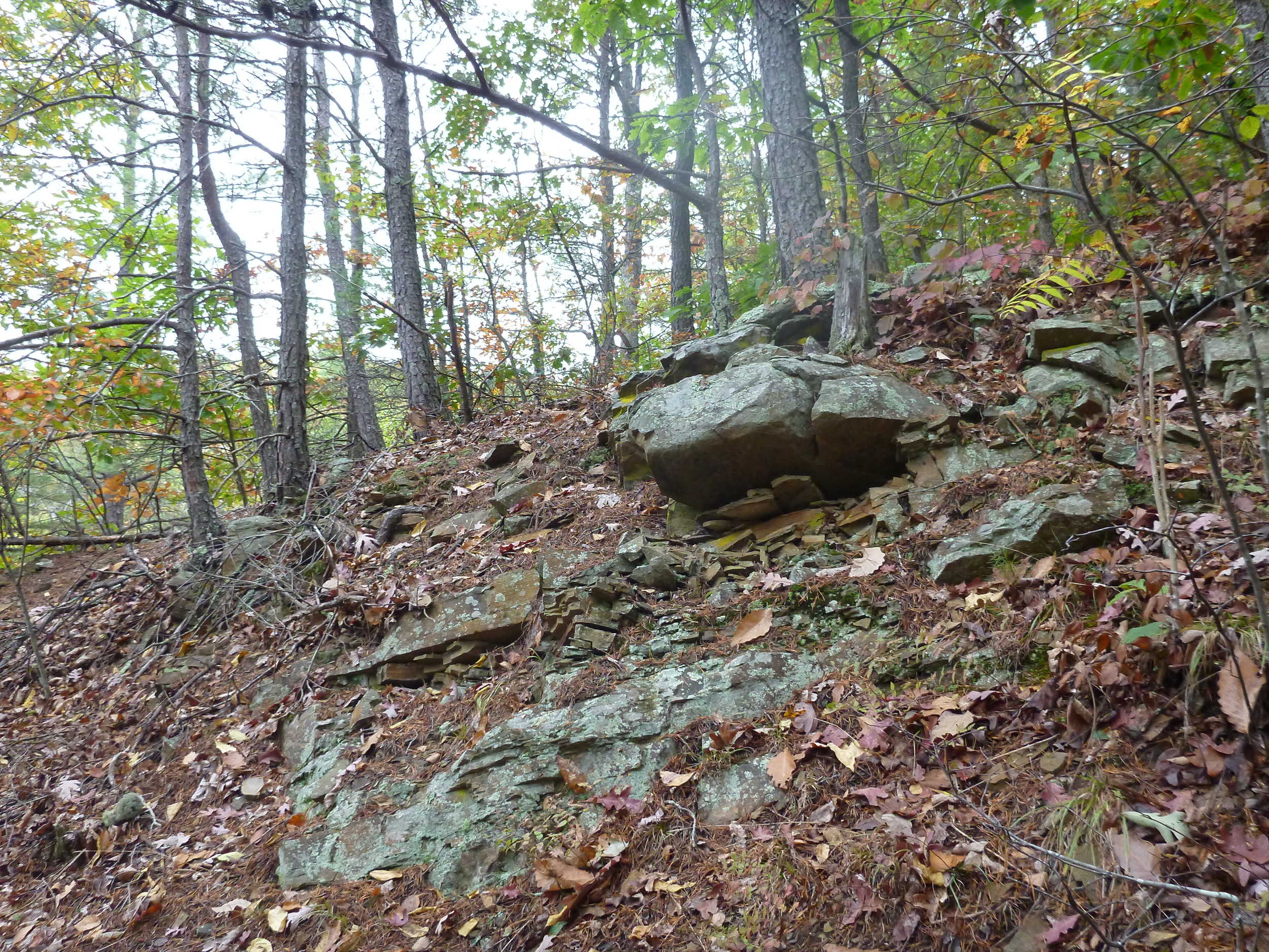 Limestone