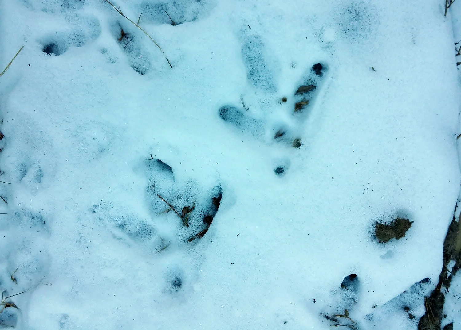 Photo Essay: A Walk in the Winter Woods