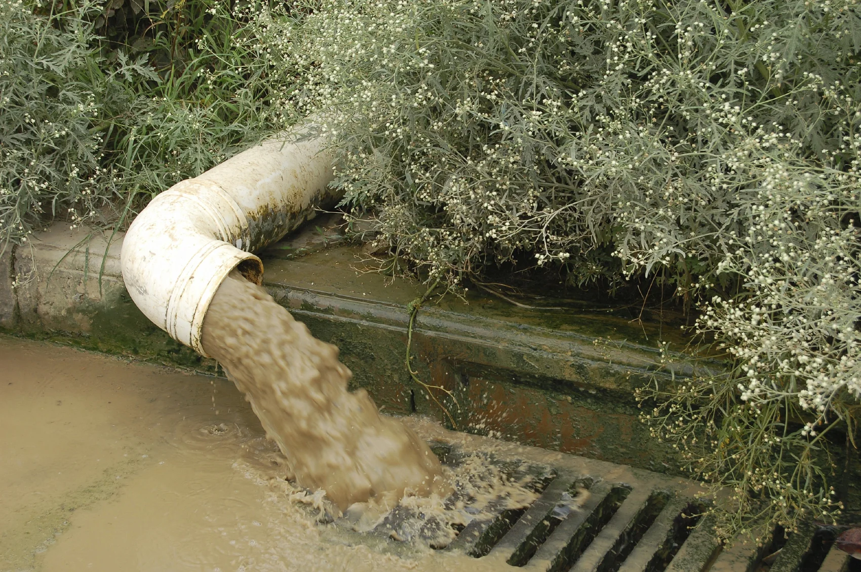 Maryland General Assembly Votes to Protect Clean Water